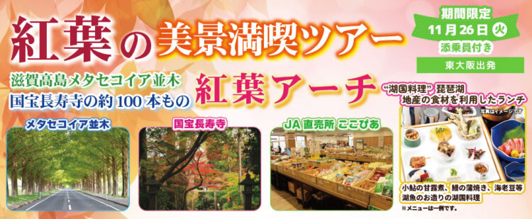 〈東大阪 発着〉11月26日(火) お一人様10,800円！紅葉の美景満喫ツアー滋賀高島メタセコイア並木国宝長寿寺の約100本もの紅葉アーチ。〈添乗員付き〉日帰りバスツアー