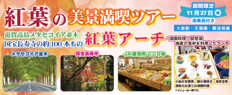 【催行決定！】〈大阪駅・天満橋・なんば発着〉11月27日(水) お一人様10,800円！紅葉の美景満喫ツアー滋賀高島メタセコイア並木国宝長寿寺の約100本もの紅葉アーチ。〈添乗員付き〉日帰りバスツアー