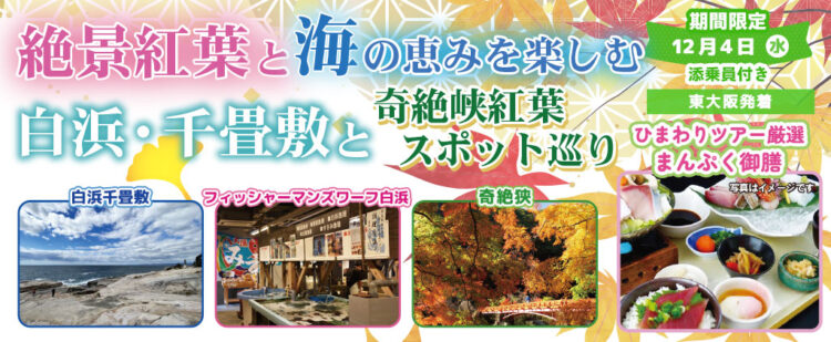 〈東大阪 発着〉12月4日(水) お一人様9,800円！絶景紅葉と海の恵みを楽しむ白浜・千畳敷と奇絶峡紅葉スポット巡り。〈添乗員付き〉日帰りバスツアー