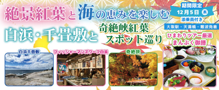 〈大阪駅・天満橋・なんば発着〉12月5日(木) お一人様9,800円！絶景紅葉と海の恵みを楽しむ白浜・千畳敷と奇絶峡紅葉スポット巡り。〈添乗員付き〉日帰りバスツアー