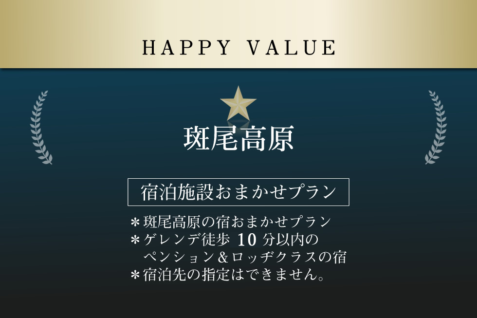 斑尾高原スキー場リフト1日券付き【斑尾高原☆ハッピーバリュー】1泊2日（朝・夕食付き）